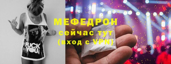индика Костерёво