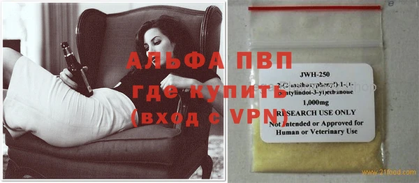 индика Костерёво