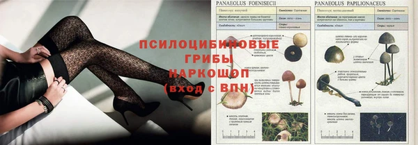 дмт Корсаков