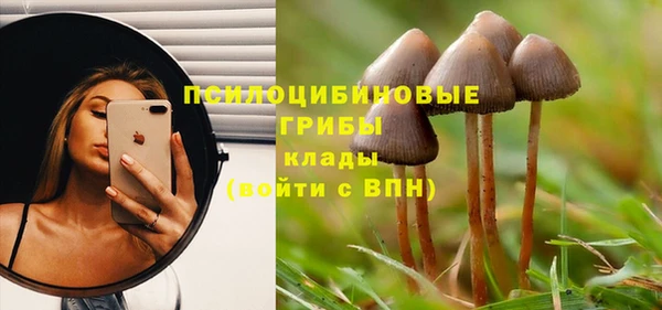 дмт Корсаков