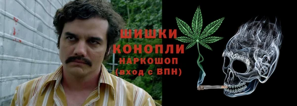 индика Костерёво