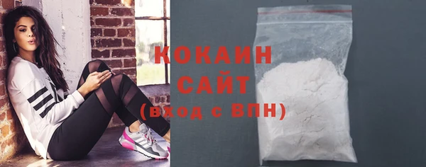 индика Костерёво