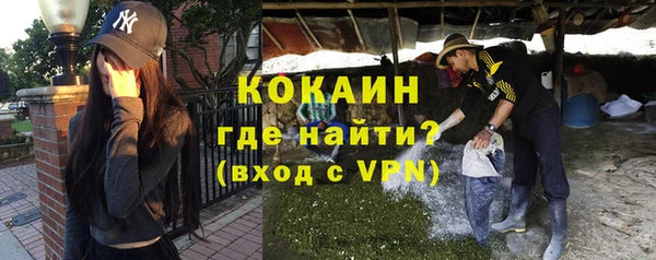 индика Костерёво