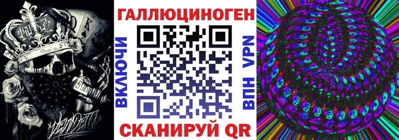 цены Шелехов Галлюциногенные грибы Psilocybine cubensis